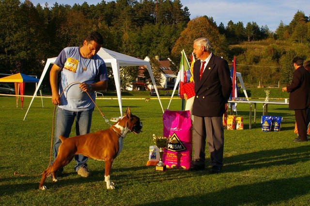 www.boxer-show.eu